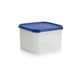 Tupperware Oval 2.6 lt Kuru Gıda Saklama Kabı