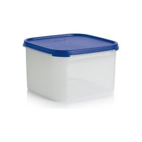 Tupperware Oval 2.6 lt Kuru Gıda Saklama Kabı
