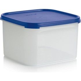 Tupperware Oval 2.6 lt Kuru Gıda Saklama Kabı