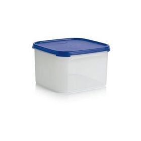 Tupperware Oval 2.6 lt Kuru Gıda Saklama Kabı