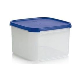 Tupperware Oval 2.6 lt Kuru Gıda Saklama Kabı