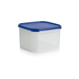 Tupperware Oval 2.6 lt Kuru Gıda Saklama Kabı