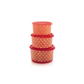 Tupperware Parıltı 3'lü Saklama Kabı