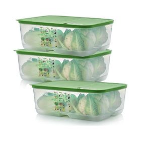 Tupperware Sera 3x9,9 lt Saklama Kabı