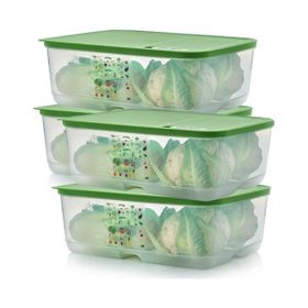 Tupperware Sera 4x9,9 lt Saklama Kabı