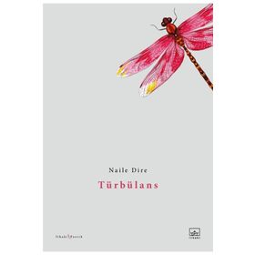 Türbülans - Naile Dire