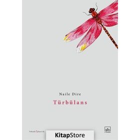 Türbülans - Naile Dire