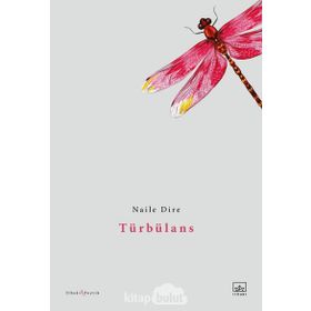 Türbülans - Naile Dire
