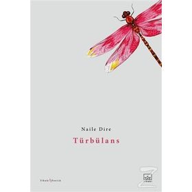 Türbülans - Naile Dire