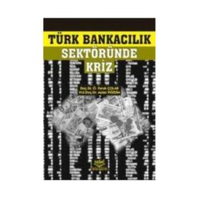 TÜRK BANKACILIK SEKTÖRÜNDE KRIZ - ARSLAN YİĞİDİM