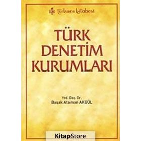 Türk Denetim Kurumları - Başak Akgül