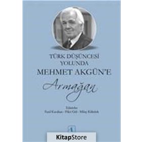 Türk Düşüncesi Yolunda Mehmet Akgün'e Armağan - Milay Köktürk