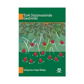 TÜRK DÜŞÜNCESİNDE GEZINTILER - SÜLEYMAN HAYRI BOLAY