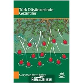 TÜRK DÜŞÜNCESİNDE GEZINTILER - SÜLEYMAN HAYRI BOLAY