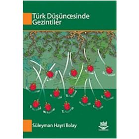 TÜRK DÜŞÜNCESİNDE GEZINTILER - SÜLEYMAN HAYRI BOLAY