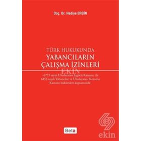 Türk Hukukunda Yabancıların Çalışma İzinleri - Hediye Ergin