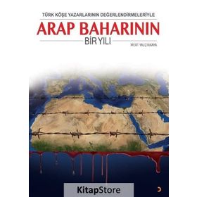 Türk Köşe Yazarlarının Değerlendirmeleriyle Arap Baharının Bir Yılı - Mert Yalçınkaya