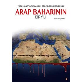 Türk Köşe Yazarlarının Değerlendirmeleriyle Arap Baharının Bir Yılı - Mert Yalçınkaya