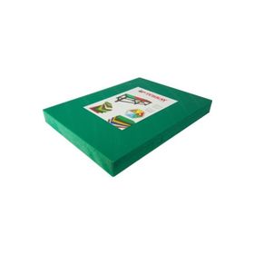 Türkay Polietilen Yeşil 40x60x2 cm Kesim Levhası Kesme Tahtası