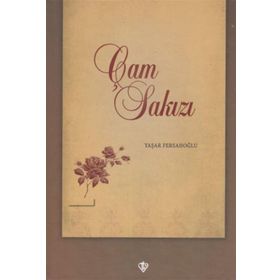 Türkiye Diyanet Vakfı Yayınları Çam Sakızı