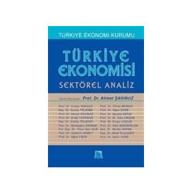 TÜRKİYE EKONOMISI SEKTÖREL ANALIZ - AHMET ŞAHİNÖZ