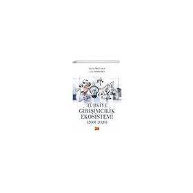 Türkiye Girişimcilik Ekosistemi 2001-2020 Nobel Bilimsel Eserler