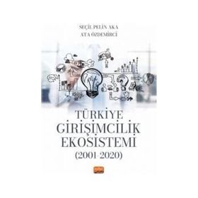 Türkiye Girişimcilik Ekosistemi 2001-2020 Nobel Bilimsel Eserler