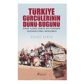 Türkiye Gürcülerinin Dünü Bugünü - Veysel Şahin