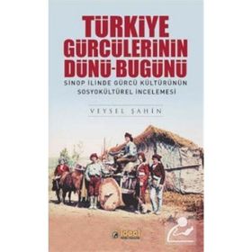 Türkiye Gürcülerinin Dünü Bugünü - Veysel Şahin