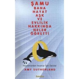 Türkiye Hikayelerini Anlatıyor - Murat Gülsoy