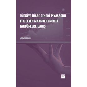 Türkiye Hisse Senedi Piyasasını Etkileyen Makroekonomik Faktörlere Bakış - Merve Perçin
