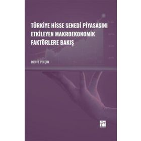 Türkiye Hisse Senedi Piyasasını Etkileyen Makroekonomik Faktörlere Bakış - Merve Perçin