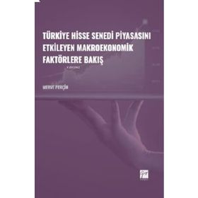 Türkiye Hisse Senedi Piyasasını Etkileyen Makroekonomik Faktörlere Bakış - Merve Perçin