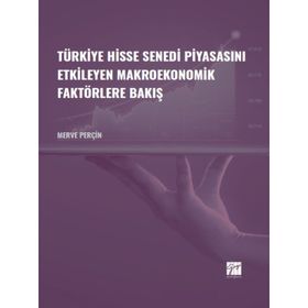 Türkiye Hisse Senedi Piyasasını Etkileyen Makroekonomik Faktörlere Bakış - Merve Perçin