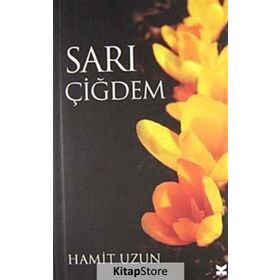 Türkiye Örneğinde Demir Çelik Sektöründe Dönüşüm ve İsdemir Uygulaması - Dr. Ayhan Sarısu Yüksel Yalova
