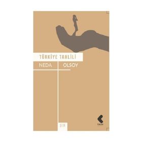 Türkiye Tahlili - Neda Olsoy