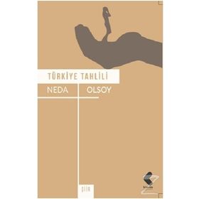 Türkiye Tahlili - Neda Olsoy