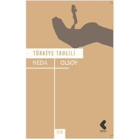 Türkiye Tahlili - Neda Olsoy