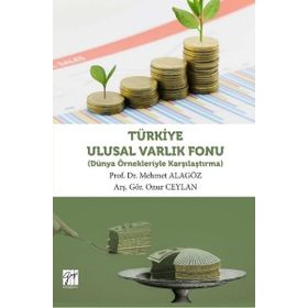 Türkiye Ulusal Varlık Fonu: Dünya Örnekleriyle Karşılaştırma