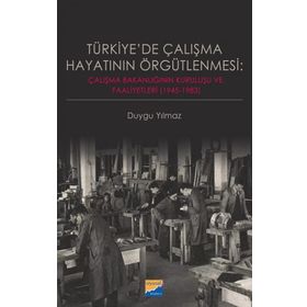 Türkiye'de Çalışma Hayatının Örgütlenmesi - Duygu Yılmaz