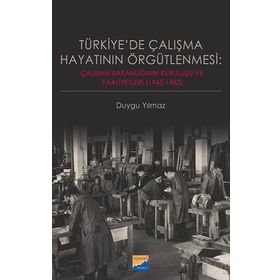 Türkiye'de Çalışma Hayatının Örgütlenmesi - Duygu Yılmaz
