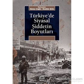 Türkiye’de Siyasal Şiddetin Boyutları - Güney Çeğin İbrahim Şirin