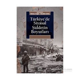 Türkiye’de Siyasal Şiddetin Boyutları - Güney Çeğin İbrahim Şirin
