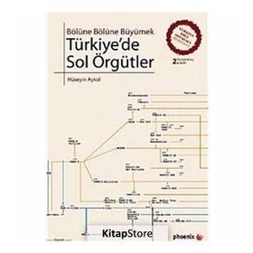 TÜRKİYEDE SOL ÖRGÜTLER BÖLÜNE BÖLÜNE BÜYÜMEK - HÜSEYİN AYKOL