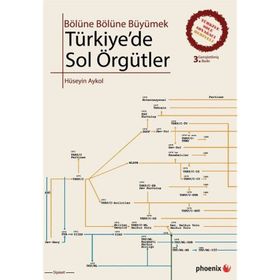 TÜRKİYEDE SOL ÖRGÜTLER BÖLÜNE BÖLÜNE BÜYÜMEK - HÜSEYİN AYKOL