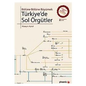 TÜRKİYEDE SOL ÖRGÜTLER BÖLÜNE BÖLÜNE BÜYÜMEK - HÜSEYİN AYKOL