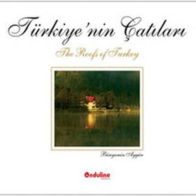 TÜRKİYENİN ÇATILARI - BÜNYAMİN AYGÜN