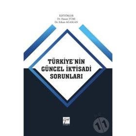 Türkiye'nin Güncel İktisadi Sorunları - Hasan Türe Erkan Ağaslan