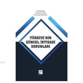 Türkiye'nin Güncel İktisadi Sorunları - Hasan Türe Erkan Ağaslan