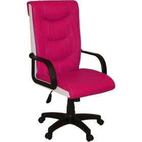 Türksit Efe Pembe Yönetici Koltuğu